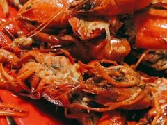 -好伦哥(温都水城店)