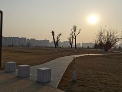 -汉长安城未央宫国家考古遗址公园