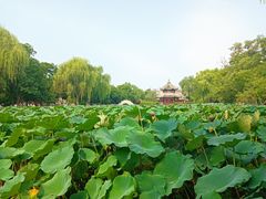 -莲池书院博物馆