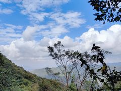 -北仑森林植物园