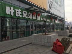 -叶氏兄弟(大连奥特莱斯店)