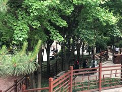 -西安曲江寒窑遗址公园
