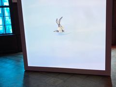 -Nathalie Djurberg与Hans Berg“牛皮纸包裹的月亮”-Prada荣宅当季展览