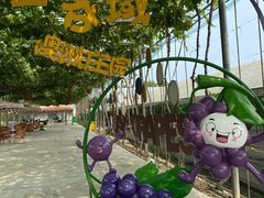 -金谷域澳洲庄园