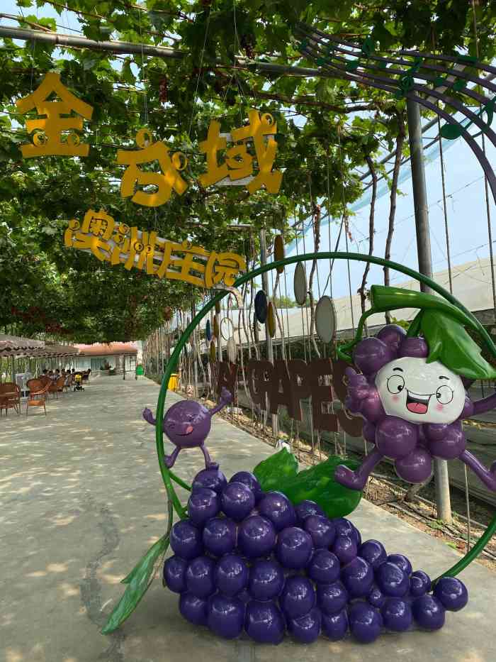 金谷域澳洲庄园-"大邑真是个宝藏地 可以玩攀岩0969♀15.