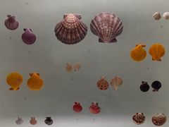 -青岛贝壳博物馆
