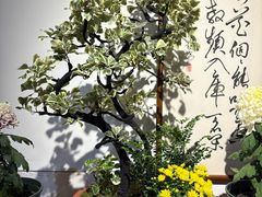 -迎泽公园