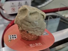 -野人先生现做冰淇淋(西安赛格店)