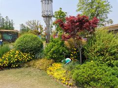 -上海长兴岛郊野公园