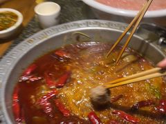 -杨肥肠火锅大排档(火车站花园店)