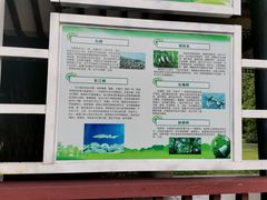 -张坝桂圆林公园