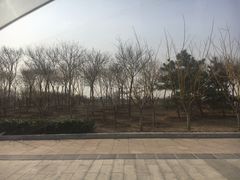 -天津金海湖