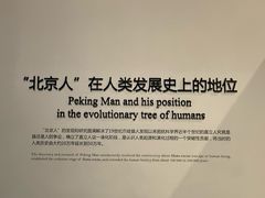 -北京周口店北京人遗址博物馆