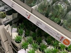 -宜家家居(哈尔滨商场店)