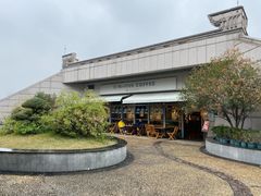 屋顶咖啡馆-湖北省博物馆