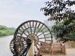 -重庆彩云湖湿地公园
