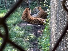 -哈尔滨北方森林动物园