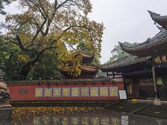-峨眉山报国寺