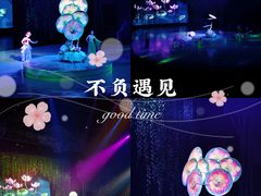 -重庆国际马戏城