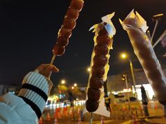 -和禄德冰糖葫芦