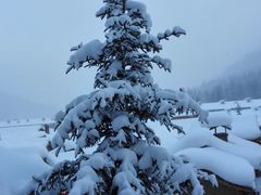景点-雪谷