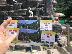 门票-大岭沟猕猴桃谷风景区