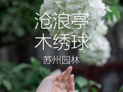 -沧浪亭