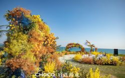-CHOCO-启蔻婚礼(三亚公司)
