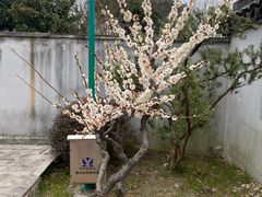 -无锡梅园公园