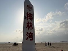 -东郊椰林