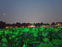 -小王府(什刹海店)