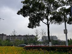 -万达茂商场(南京仙林店)