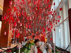 -上海浦东嘉里大酒店