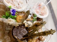 -源港渔村-中山脆肉鲩(博罗店)