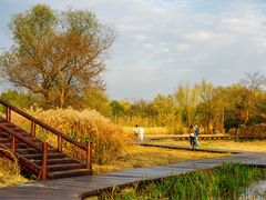 -西溪国家湿地公园