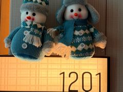 -深圳国际会展中心希尔顿酒店(前海华发冰雪世界店)