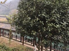 -怪潭漂流