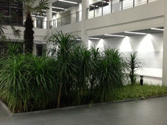 教学楼-同济大学(嘉定校区)