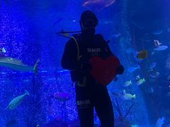 -沈阳海洋探索中心