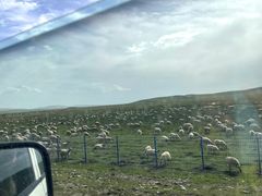 -塞罕坝国家级自然保护区