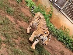 -昆明动物园