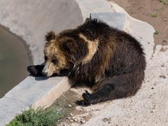 -青藏高原野生动物园