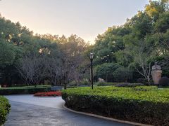 -徐家汇源景区-衡山公园