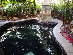 -台山颐和温泉城