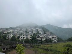 -黄贤森林公园