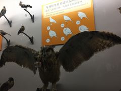 -青藏高原自然博物馆