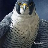 看这些画,仿佛来到了动物世界🦜🐶