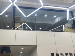 -凯瑞希宠物医院·狂犬免疫·微创·皮肤科