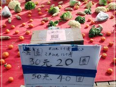 -前小桔亲子创意农场·草莓采摘·露营烧烤