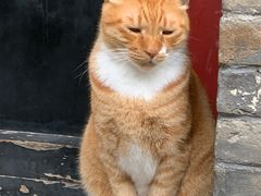 -回龙窝历史文化街区